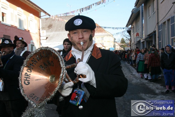 Chrom-Nickel-Kupfer Band - Hilzingen - Libis - Bild 3.jpg